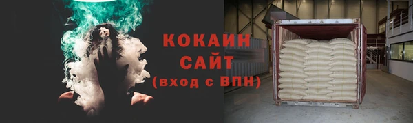 хмурый Бородино