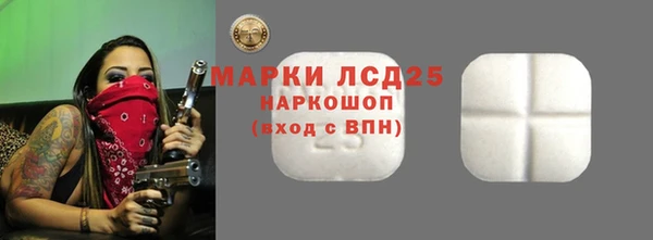 хмурый Бородино