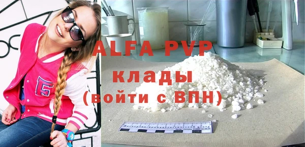хмурый Бородино