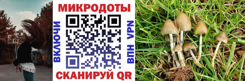 Псилоцибиновые грибы Psilocybine cubensis  купить наркоту  Петропавловск-Камчатский 